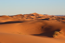 Morocco-Morocco-Sand Dunes Horse & Camel Ride